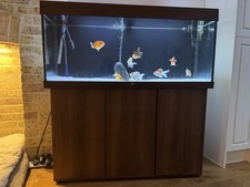 Juwel rio 240 for sale  HUNTINGDON