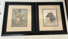 Ruane manning hunting for sale  Selma