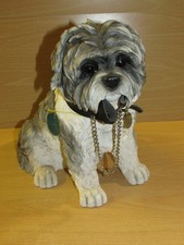 Beautiful large leonardo for sale  TURRIFF