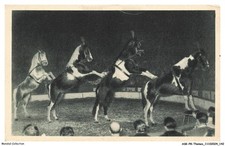 Askp8 0476 cirque d'occasion Askp8 0476 cirque d'occasion  France