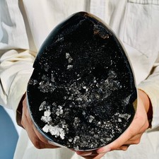 4.75lb natural turtle for sale  Burlington
