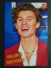Shawn mendes poster usato  Polcenigo