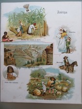 Beautiful chromolithograph 188 d'occasion  Expédié en Belgium