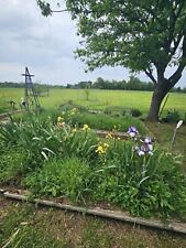 Mixed colors varieties for sale  Mcalester