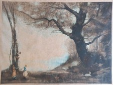 Children climbing trees for sale  WORTHING
