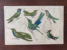 Antique original colour for sale  BOURNEMOUTH