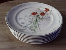 Large dinner plates for sale  BOOTLE