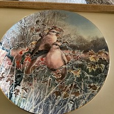 Collared doves coalport for sale  FOCHABERS