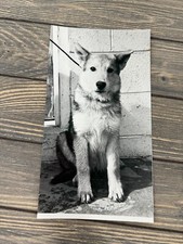 Vintage black white for sale  Marion
