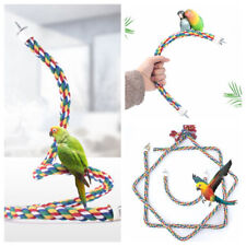 1pcs pet bird for sale  HATFIELD