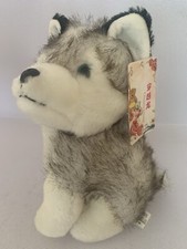 Chuanyuelong husky puppy for sale  VENTNOR
