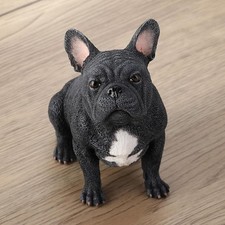 French bulldog sitting for sale French bulldog sitting for sale  Baldwin Park