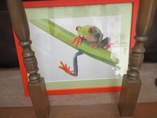 Bright frog hanging for sale  Kansas City