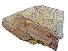 F1437 versteinertes holz gebraucht kaufen  Röttenbach b Erlangen