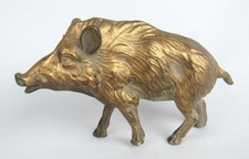 boar hogs for sale boar hogs for sale Seattle