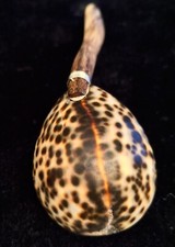 Handmade novelty shell for sale  Methuen