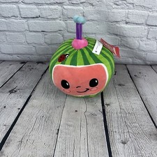 Cocomelon watermelon head for sale  Keller