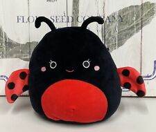 Squishmallow trudy ladybug for sale  BENFLEET