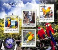A8211 mocambico foglio usato  Milano