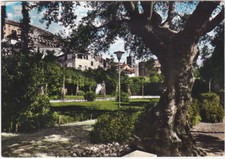 Palestrina roma giardino usato  Isola Vicentina