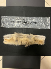 Pelliccia coyote originale usato  Budrio