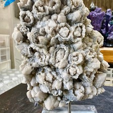 31lb fiore tromba usato  Spedire a Italy