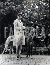 Vintage animali due usato  Roma