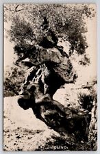 Rppc beautiful ancient for sale  Scotland