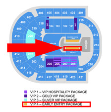 Lady gaga vip gebraucht kaufen  Ennigerloh