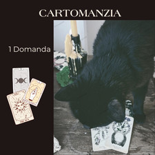 Consulto cartomanzia tarocchi usato  Roma