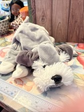 Grey schnauzer dog for sale  WATFORD