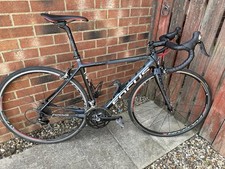 Focus cayo carbon for sale  JARROW
