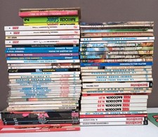 Lotto fumetti misti usato  Falconara Marittima