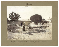 Persia potiers terre d'occasion  Pagny-sur-Moselle