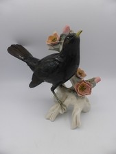 Merle noir porcelaine d'occasion  Ussac