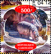 Tier nilpferd flusspferd gebraucht kaufen  Unna