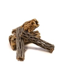 Cholla cactus wood for sale  CREDITON