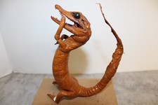Vintage taxidermy baby for sale  Berryville