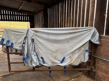 Premier equine combo for sale  EXETER
