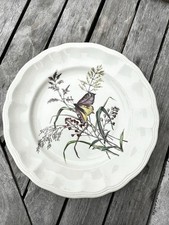 Vintage copeland spode for sale  LYMINGTON