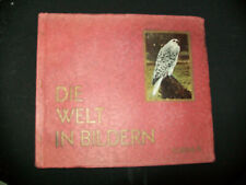 Bildern album 4 gebraucht kaufen  Deutschland