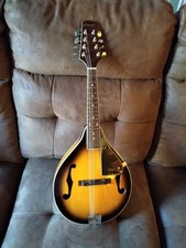 Johnson style mandolin for sale  Great Cacapon