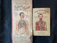 Lot anatomie homme d'occasion  Céret
