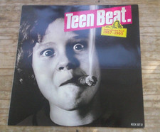 Usado, TEEN BEAT - INSTRUMENTAL ROCK 1957-1965 VINYL LP THE VENTURES PILTDOWN MEN comprar usado  Enviando para Brazil