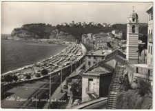 Celle ligure savona usato  Isola Vicentina