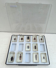 National geographic real for sale  KINGSBRIDGE