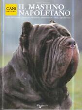 Mastino napoletano fioravanzi usato  Italia
