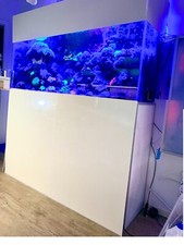 Meerwasser aquarium komplett gebraucht kaufen  Ganderkesee