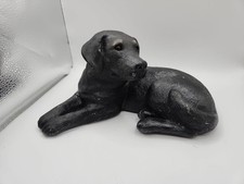 Black labrador retriever for sale  KEIGHLEY