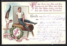 Turner dem seitpferd gebraucht kaufen  Berlin